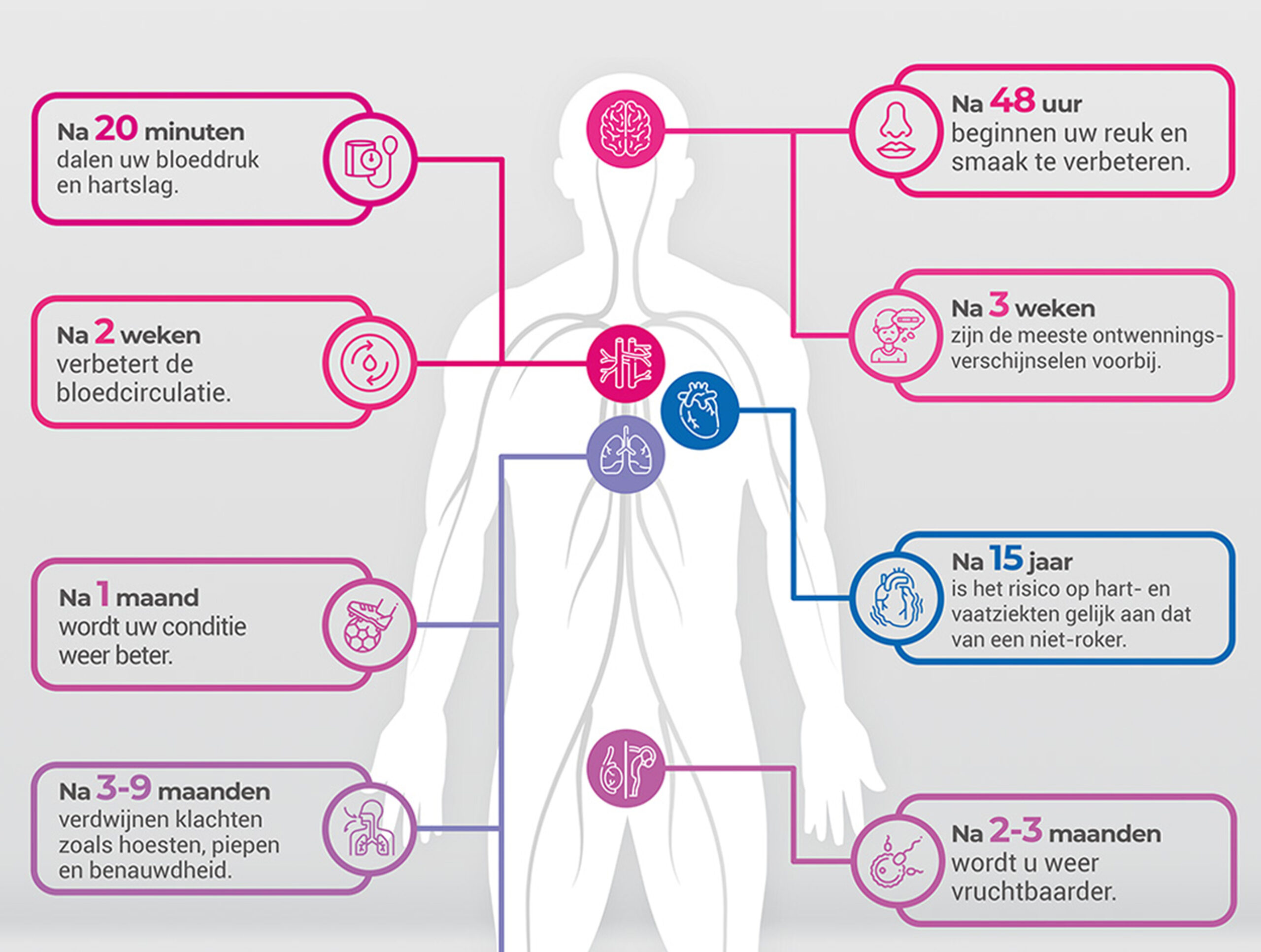 Infographic van het herstel van het lichaam na stoppen met roken