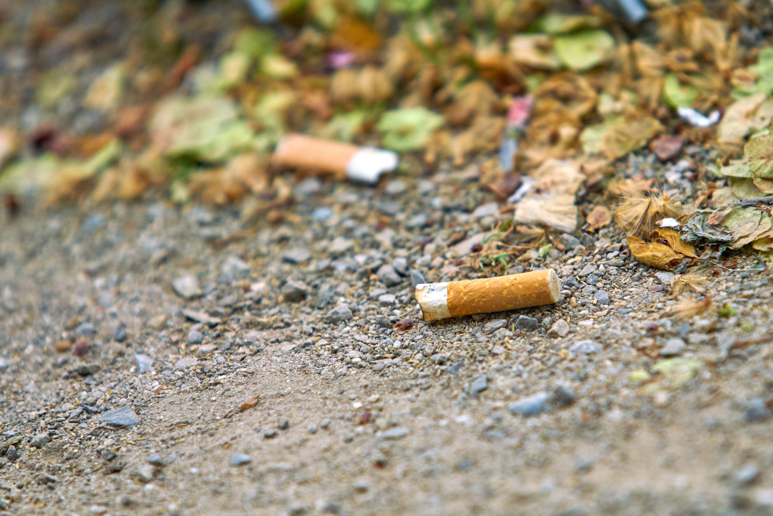 sigarettenpeuken vergiftiging milieu